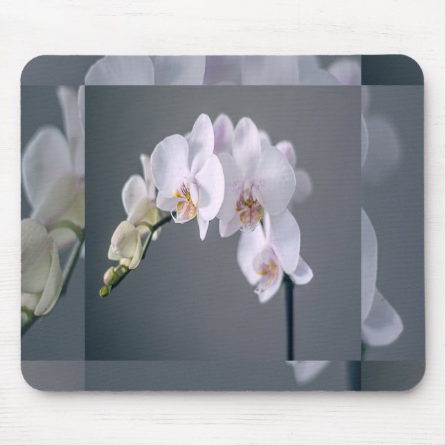 Touch of White Flowers Mouse Pad (Front)