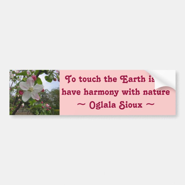 touch the Earth bumper sticker (Front)