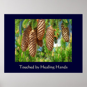 Touched by Healing Hands Fine Art Nurses Medical Poster
