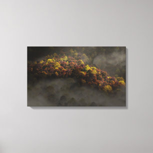 Touched by the Sun Canvas Print