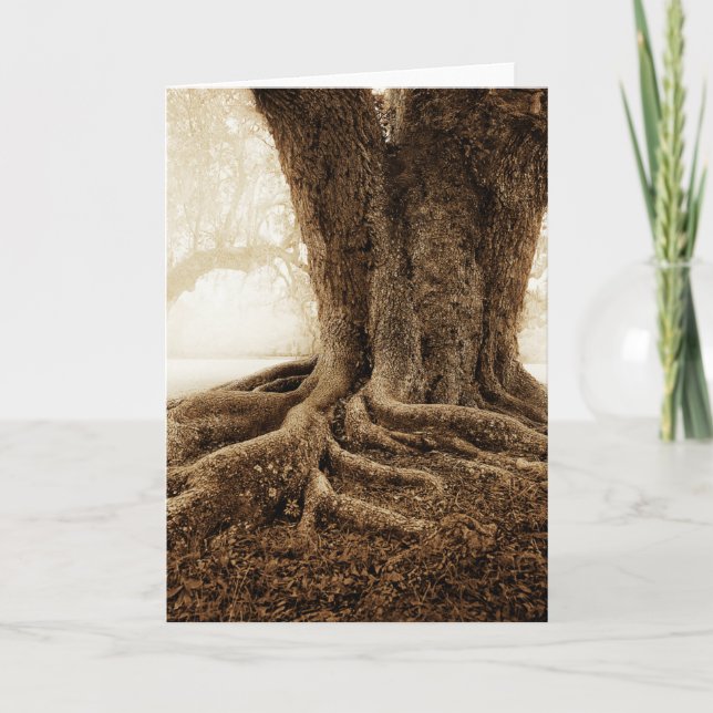 Touching_Earth_MW1104 Card (Front)