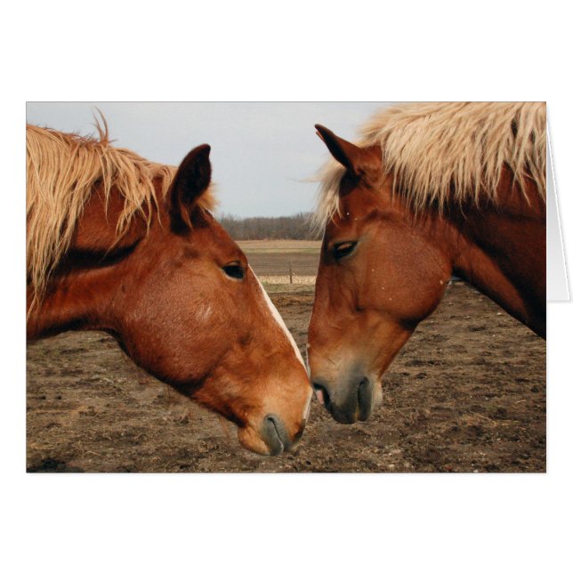 Touching noses (Front Horizontal)