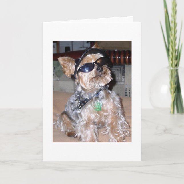 Tough Dog Card (Front)