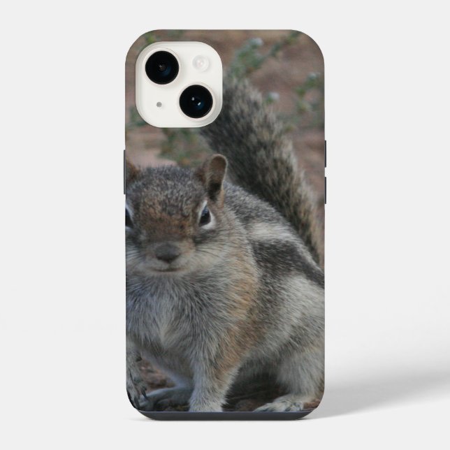Tough Squirrel iPhone Case (Back)