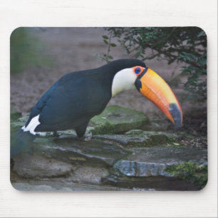 Toukan Mousepad