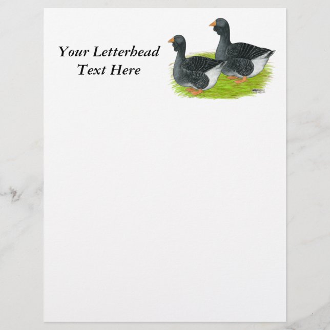 Toulouse Dewlap Geese (Front)