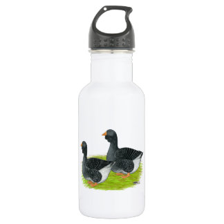 Toulouse Dewlap Geese 532 Ml Water Bottle