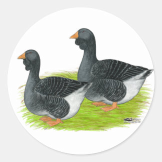 Toulouse Dewlap Geese Classic Round Sticker