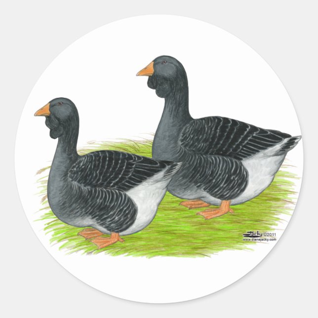 Toulouse Dewlap Geese Classic Round Sticker (Front)