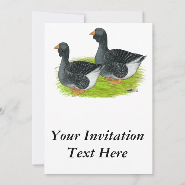 Toulouse Dewlap Geese Invitation (Front)