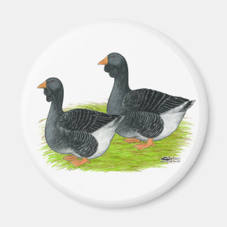 Toulouse Dewlap Geese Magnet