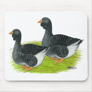 Toulouse Dewlap Geese Mouse Pad