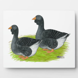 Toulouse Dewlap Geese Plaque