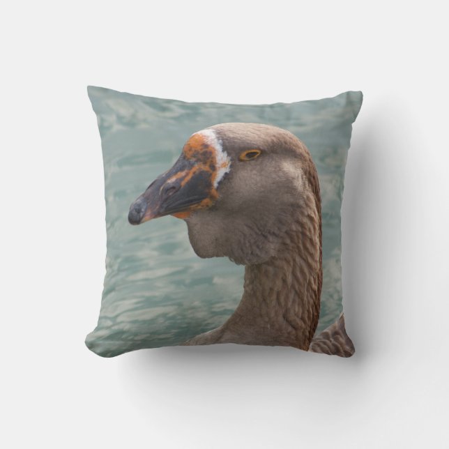 Toulouse Goose Cushion (Front)