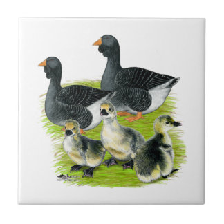 Toulouse Goose Family Tile