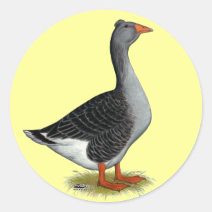 Toulouse Goose Tufted Classic Round Sticker