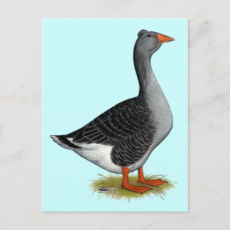 Toulouse Goose Tufted Postcard