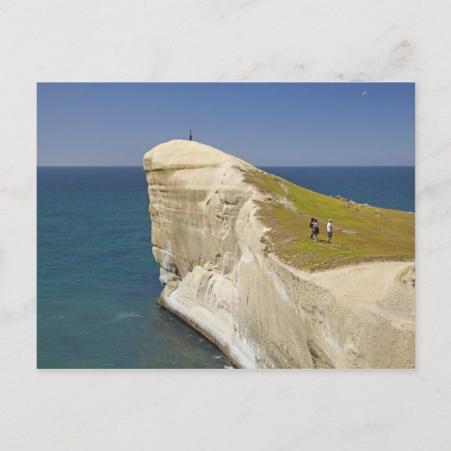 Tourists on cliff top at Tunnel Beach Postcard (Front)