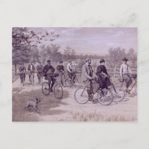 Tourists Riding Bicycles Postcard