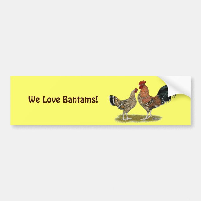 Tournaisis Bantams Bumper Sticker (Front)