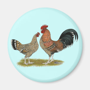 Tournaisis Bantams Magnet