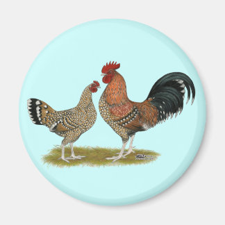 Tournaisis Bantams Magnet