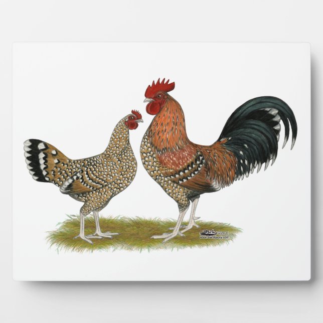 Tournaisis Bantams Plaque (Front)