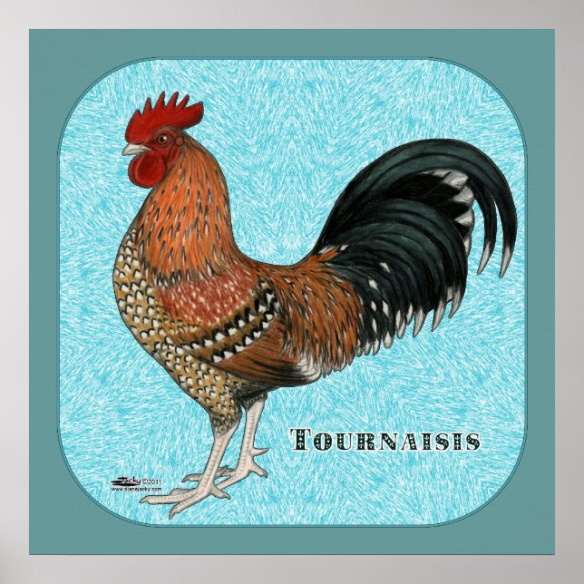 Tournaisis Rooster Poster (Front)