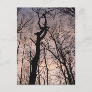 towards heaven postcard