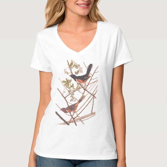 Towee Bunting Audubon Black and Orange Song Birds T-Shirt (Front)