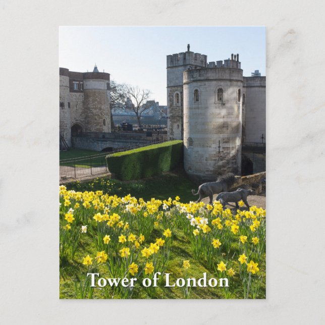 Tower of London, England UK Postcard (Front)