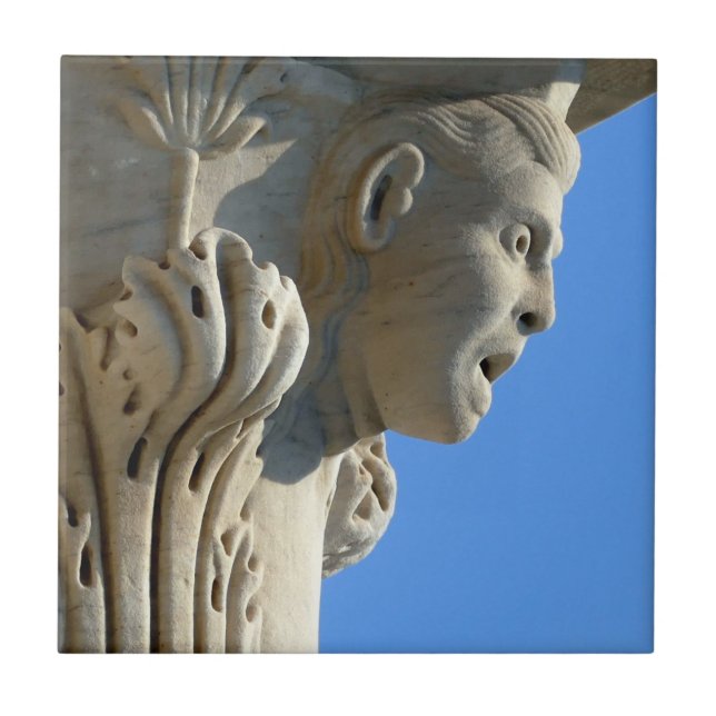 Tower of Pisa column detail, Italy  - tile (Front)
