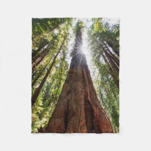 Towering Redwoods Fleece Blanket