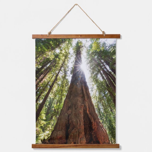 Towering Redwoods Hanging Tapestry (Front)