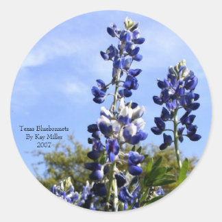Towering Texas Blue Bonnets Classic Round Sticker