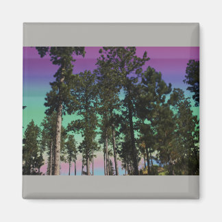 Towering Trees Magnet (Grey Background)