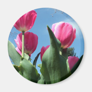 Towering Tulips Magnet