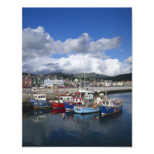 Town and Harbour, Dingle, County Kerry, Photo Print