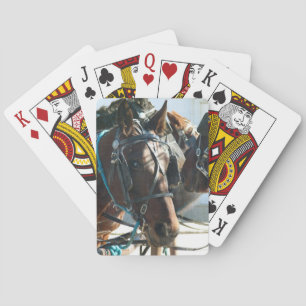 Town Hall Meeting Amish Buggy Horses Playing Cards