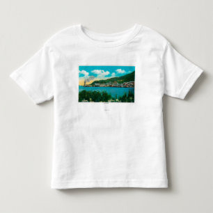 Town View of Latouche, AlaskaLatouche, AK Toddler T-Shirt