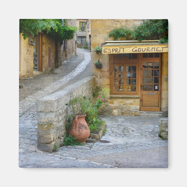 Townscape in Dordogne, France magnet (Front)