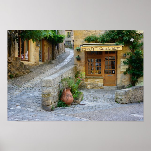 Townscape in Dordogne, France poster (Front)