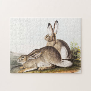 Townsend's Rocky Mountain Hare (Lepus Townsendii) Jigsaw Puzzle