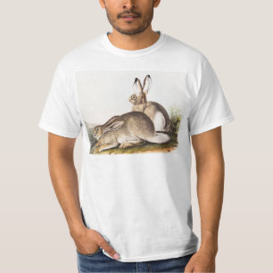 Townsend's Rocky Mountain Hare (Lepus Townsendii) T-Shirt