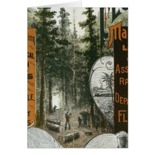 Township Map, Florida