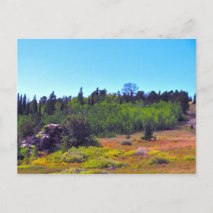 Townsite in Summer - Caribou, Colorado Postcard
