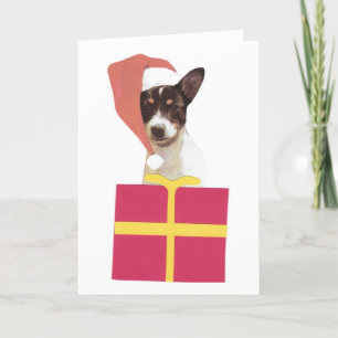 Toy Fox Terrier Santa Hat Holiday Card
