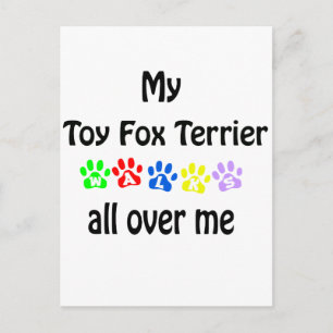 Toy Fox Terrier Walks Design Postcard
