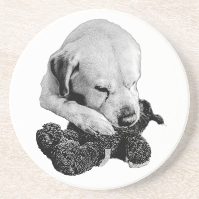 Toy in Paws Coaster (Front)