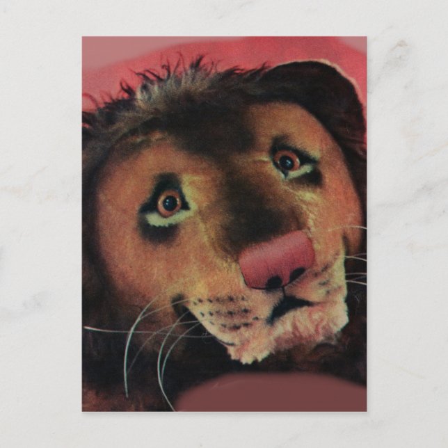 toy lion head postcard (Front)